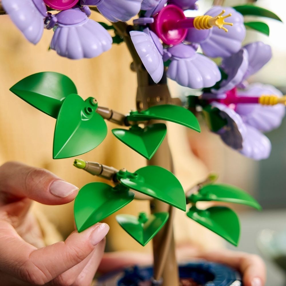 [ 必買站 ] LEGO 10372 木槿 Hibiscus 必買站獨家販售-細節圖6