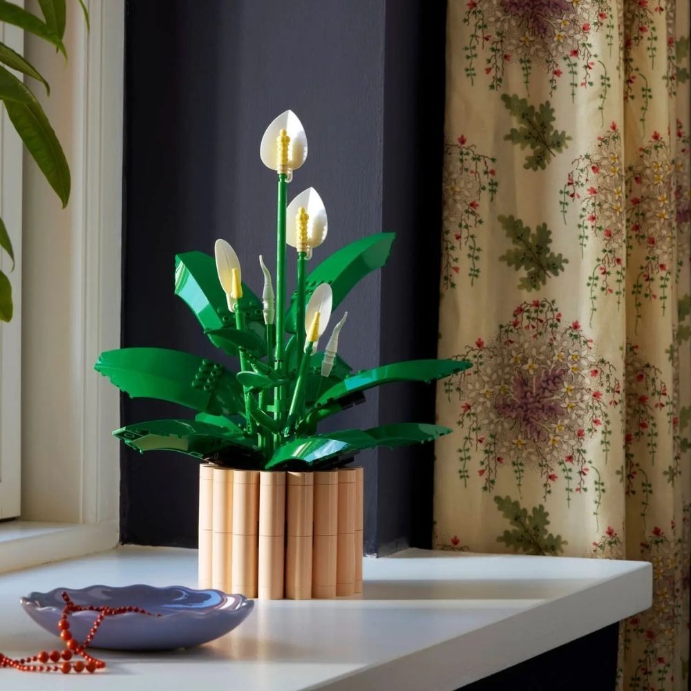 [ 必買站 ] LEGO 11504 白鶴芋-細節圖6