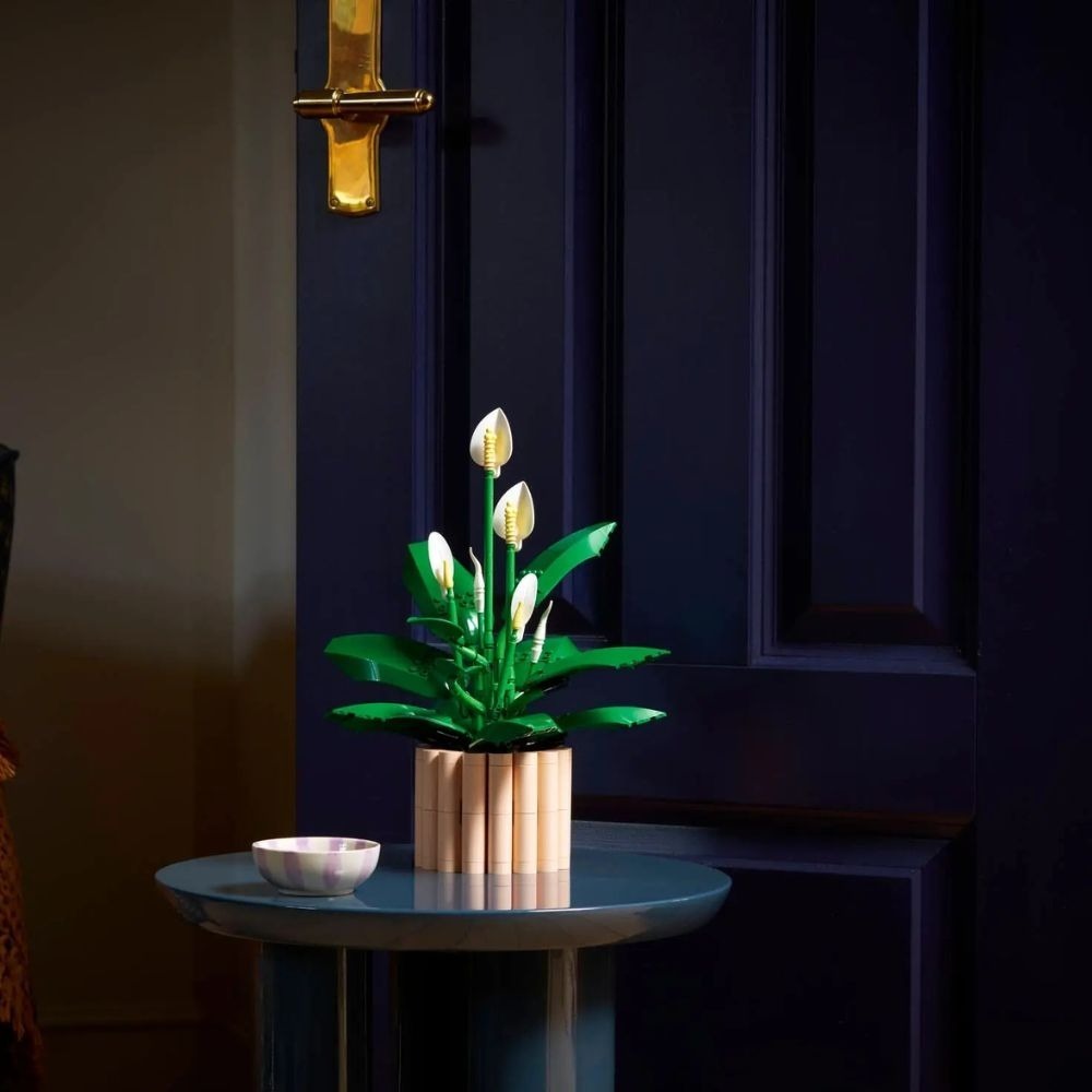 [ 必買站 ] LEGO 11504 白鶴芋-細節圖7