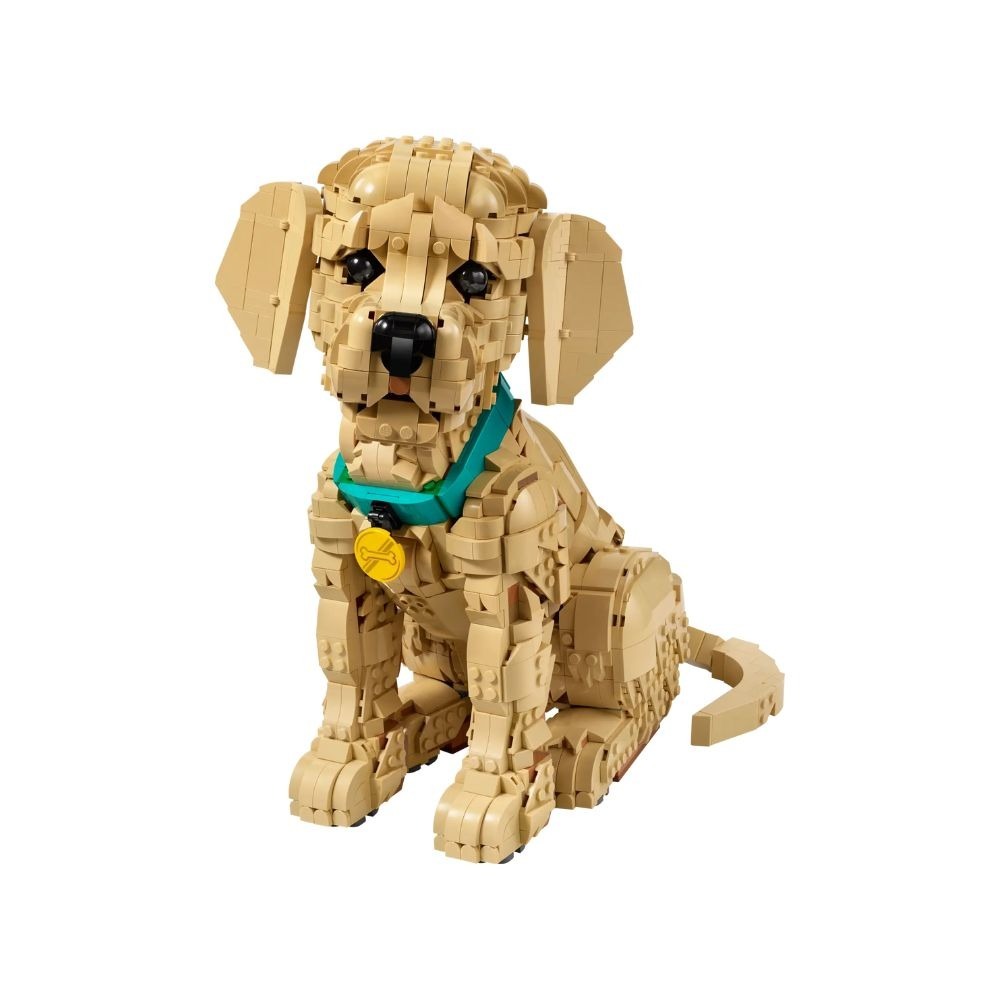 [ 必買站 ] LEGO 11384 小黃金獵犬 Icons系列-細節圖2