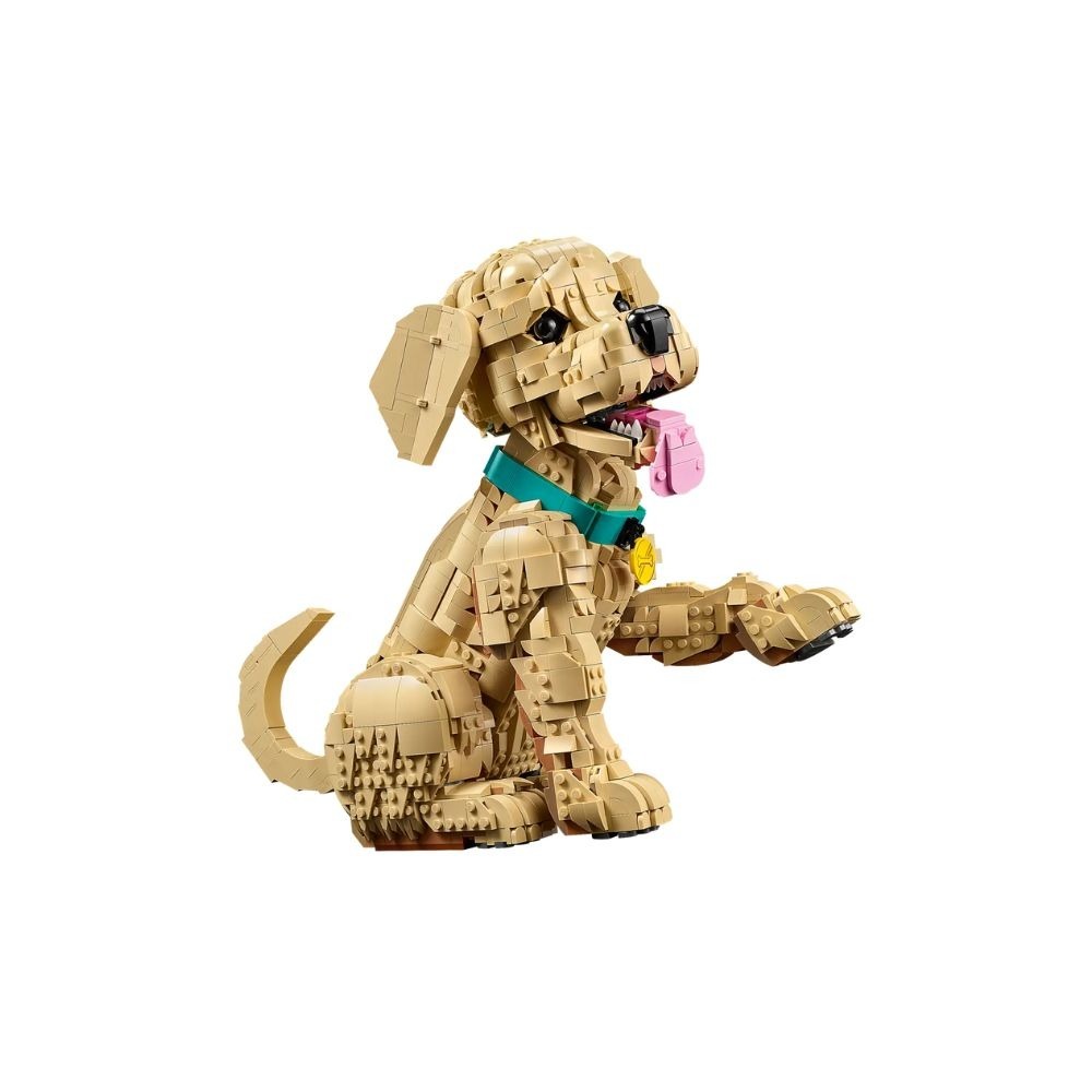 [ 必買站 ] LEGO 11384 小黃金獵犬 Icons系列-細節圖3