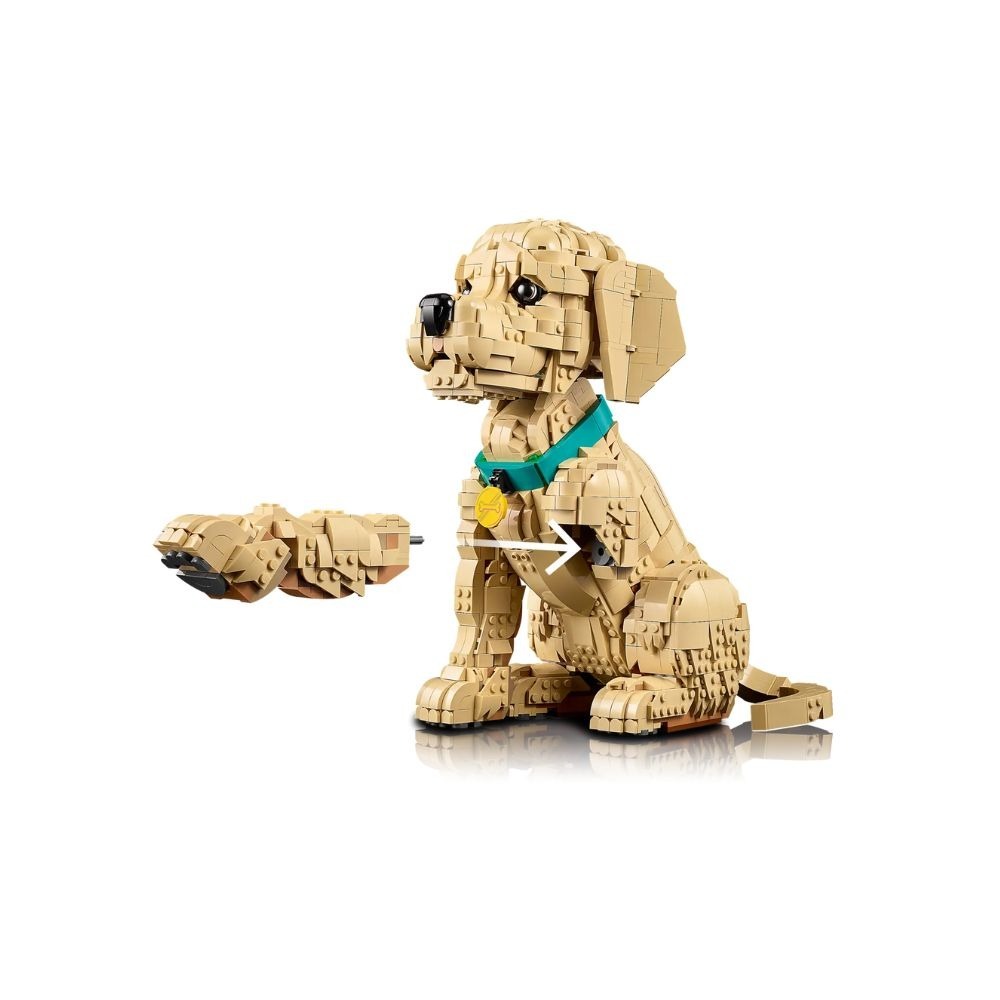 [ 必買站 ] LEGO 11384 小黃金獵犬 Icons系列-細節圖6