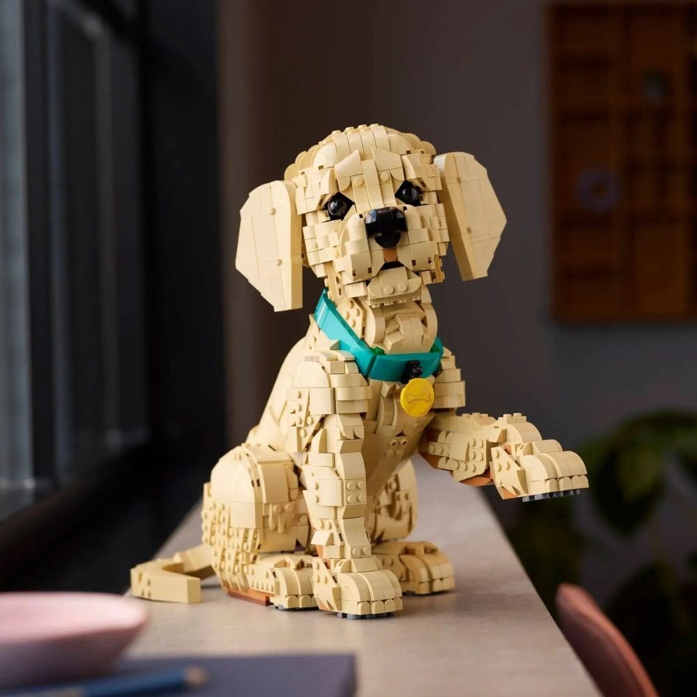 [ 必買站 ] LEGO 11384 小黃金獵犬 Icons系列-細節圖8