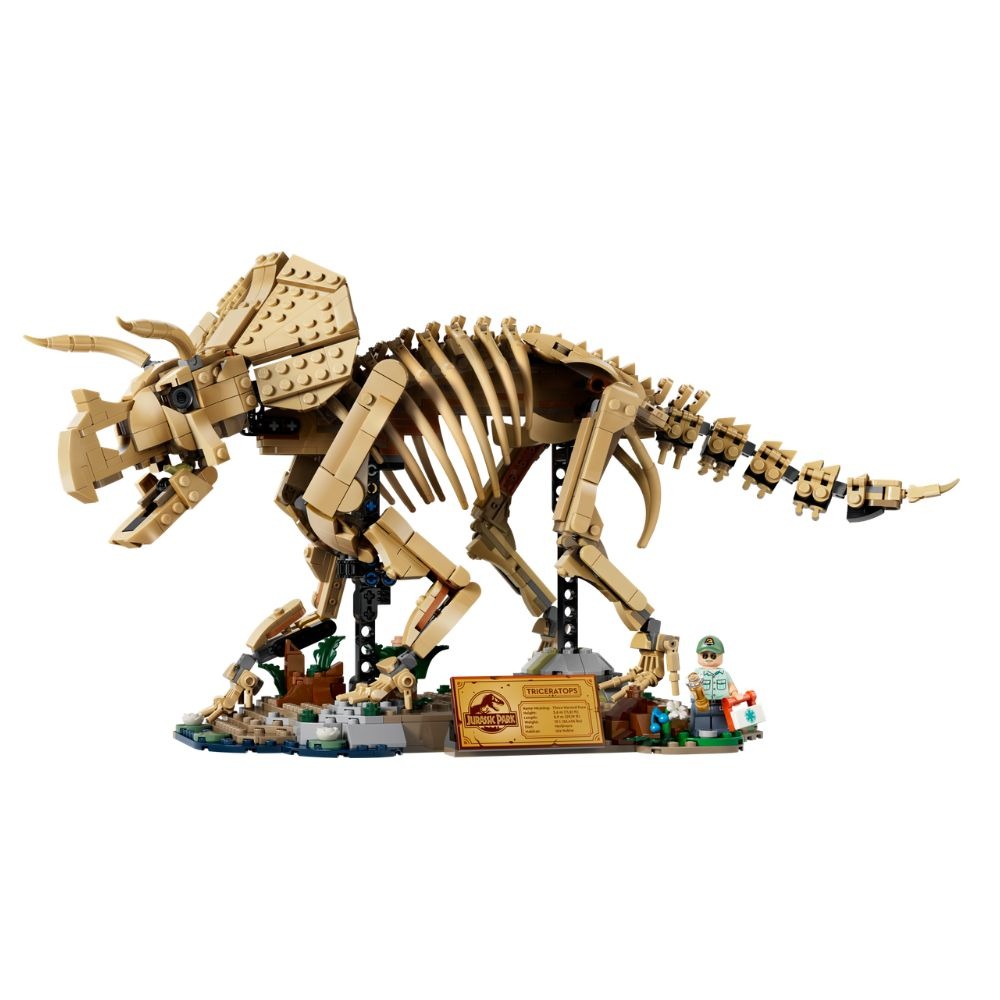 [ 必買站 ] LEGO 77985 恐龍化石：三角龍-細節圖2