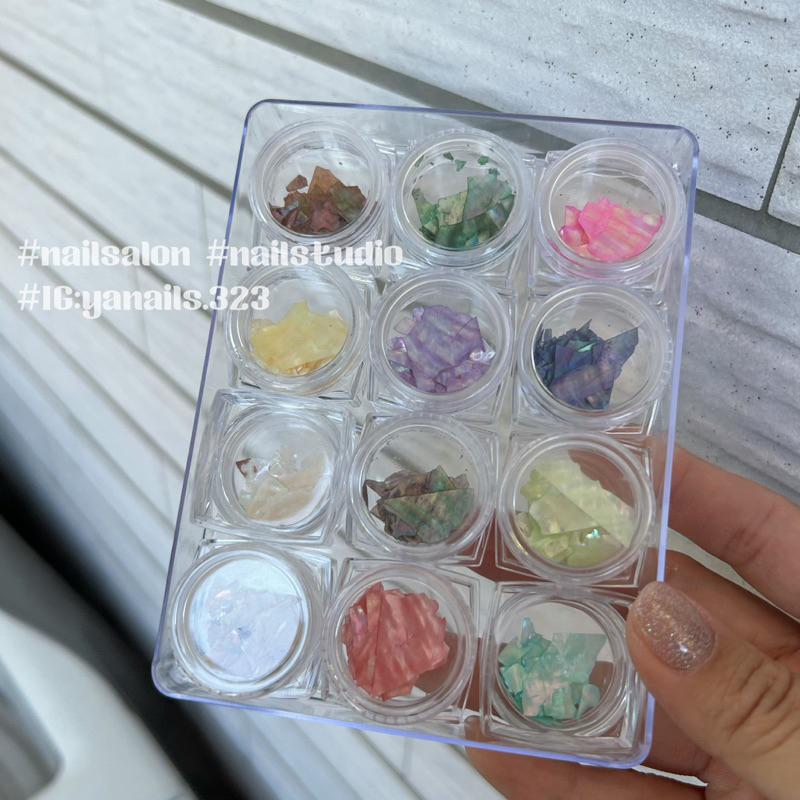 （現貨）貝殼片/光澤感貝殼片/十二色組-細節圖3