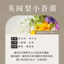 天然植物香氛精油-規格圖4