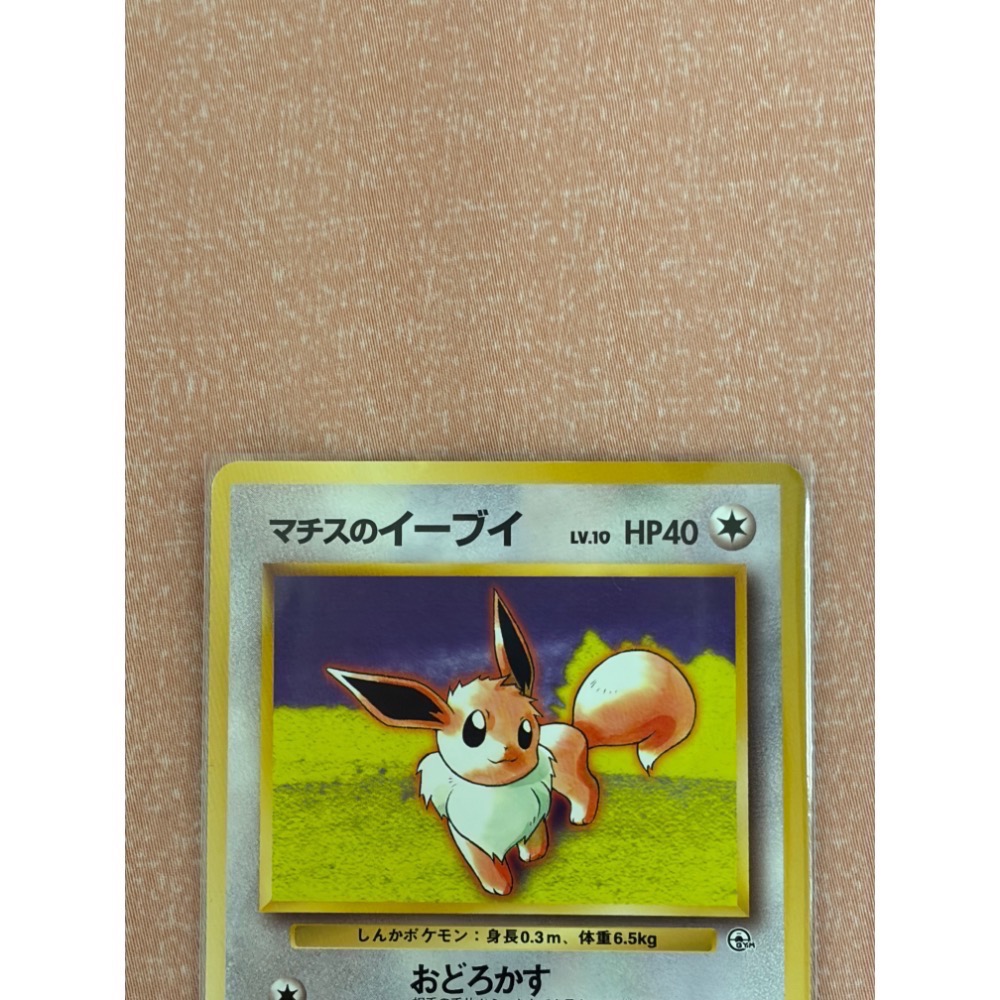 PTCG 日版寶可夢集換式卡牌 日文版 1998 舊卡背 No.133 LV.10 馬志士的伊布 マチスのイーブイ ジム-細節圖2