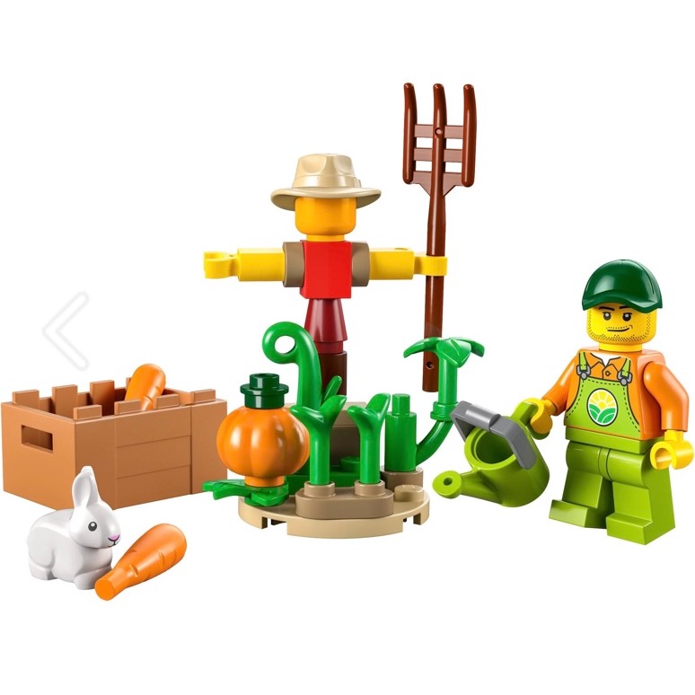 ［小一］LEGO 樂高 30590 CITY 系列產品 田園生活 稻草人-細節圖2