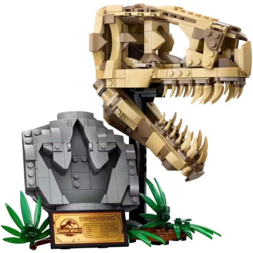 ￼［小一］LEGO 76964 恐龍化石：霸王龍頭骨 樂高® Jurassic World系列-細節圖2