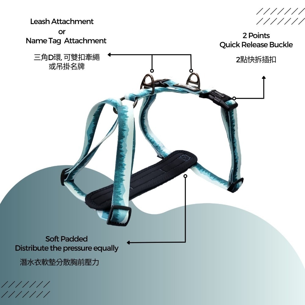 Woofy Woofy 休閒 H 型胸背帶 森林綠-細節圖3