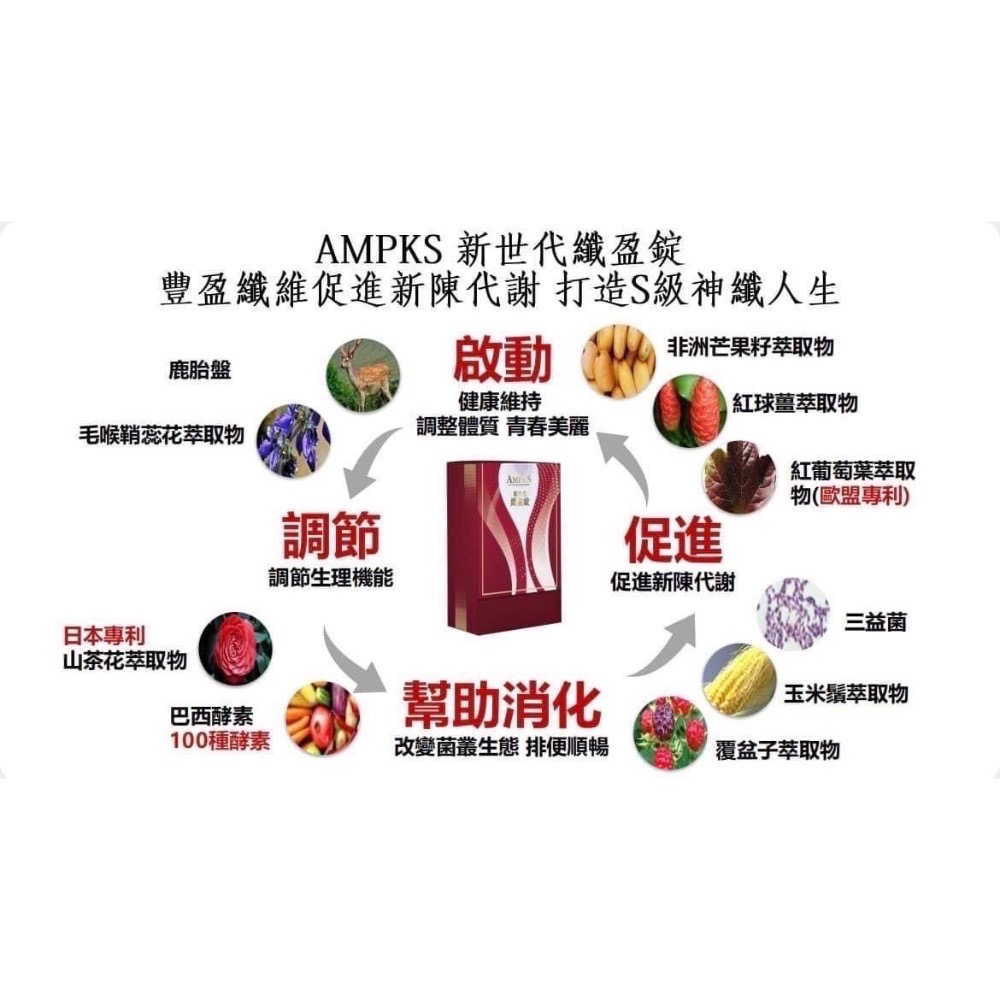 AMPK S新世代纖盈錠 新品優惠-細節圖6