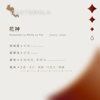 【恆星咖啡】瓜地馬拉_花神_中焙_精品咖啡豆_咖啡豆