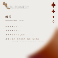 【恆星咖啡】哥倫比亞_薇拉_中焙_精品咖啡豆_咖啡豆