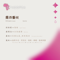 【恆星咖啡】衣索比亞_露西藝妓_淺焙_精品咖啡豆_咖啡豆