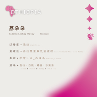 【恆星咖啡】衣索比亞_荔朵朵_淺焙_精品咖啡豆_咖啡豆
