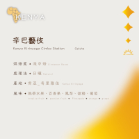 【恆星咖啡】肯亞_辛巴藝妓_淺中焙_精品咖啡豆_咖啡豆