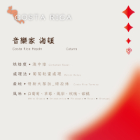 【恆星咖啡】哥斯大黎加_音樂家 海頓_淺中焙_精品咖啡豆_咖啡豆
