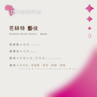 【恆星咖啡】衣索比亞_芭絲特藝妓_淺焙_精品咖啡豆_咖啡豆