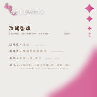 【恆星咖啡】哥倫比亞_玫瑰香頌_淺焙_精品咖啡豆_咖啡豆
