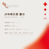 【恆星咖啡】巴拿馬_波琳娜莊園 藝妓_淺焙_精品咖啡豆_咖啡豆