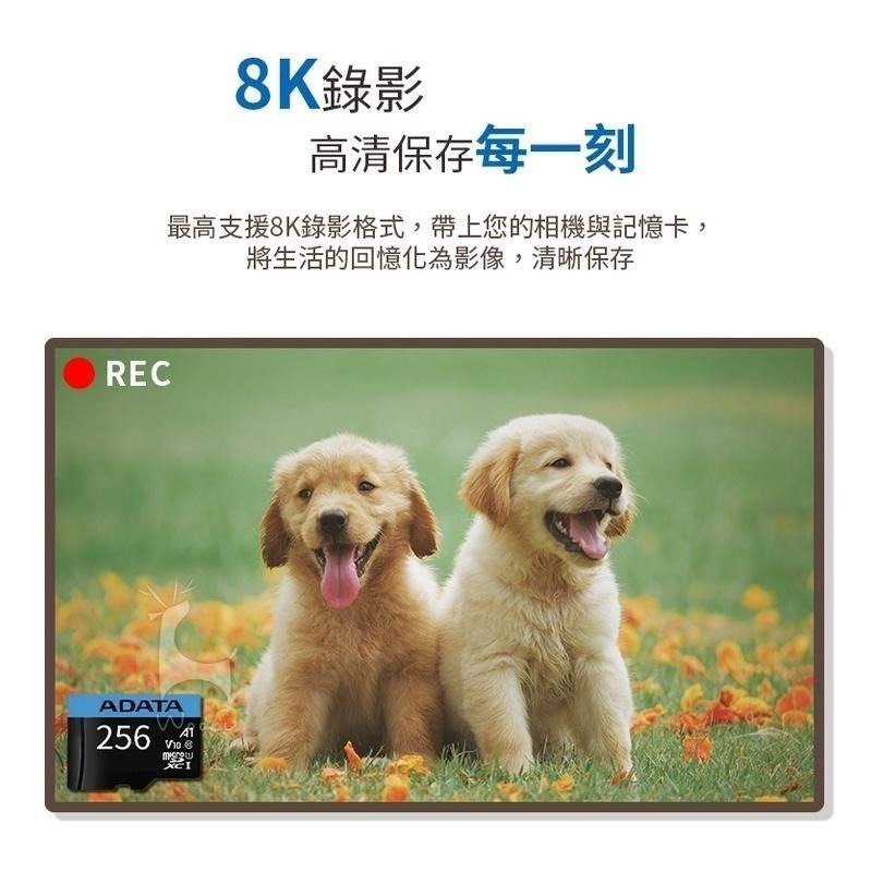 ADATA威剛 Premier microSDXC UHS-I 128G 256G 記憶卡 監視器相機手機行車記錄器-細節圖4