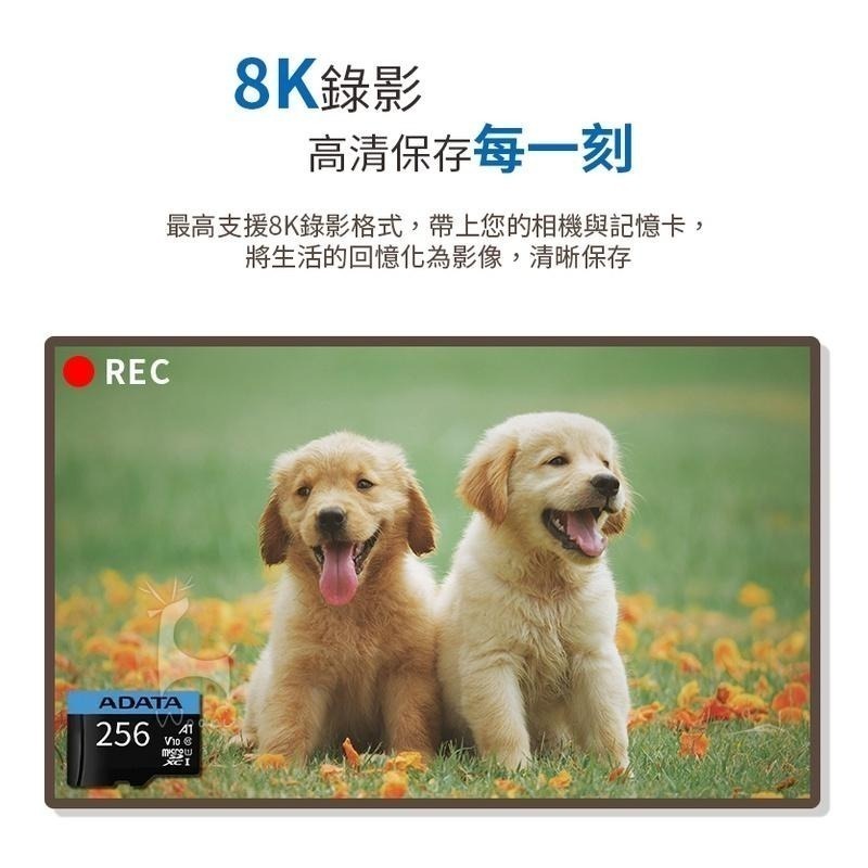 ADATA威剛 Premier microSDXC UHS-I 128G 256G 記憶卡 監視器相機手機行車記錄器-細節圖4