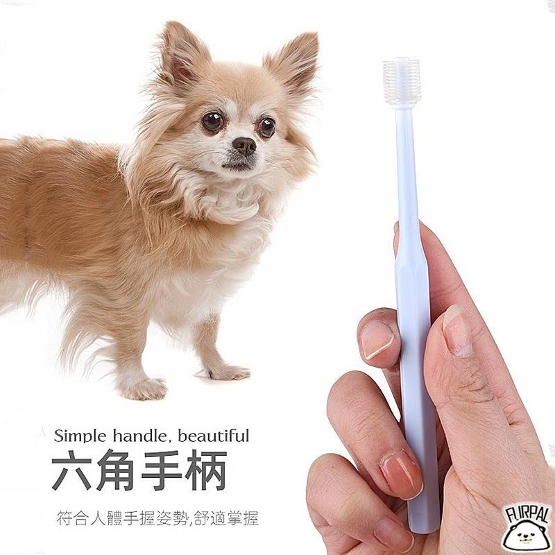 【毛小孩當家】寵物牙刷 360度寵物牙刷 貓牙刷 貓咪牙刷 寵物牙刷 狗狗牙刷 狗牙刷 兔子牙刷 狗狗牙刷-細節圖9