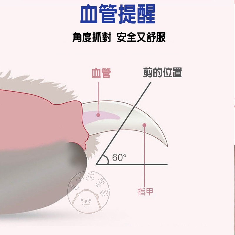 【毛小孩當家】LED剪刀 燈光照血線 LED指甲剪 寵物指甲剪 貓咪指甲剪 狗狗指甲剪 狗指甲剪 貓指甲剪-細節圖4