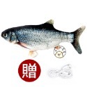 鯉魚 跳跳魚(熱銷第一