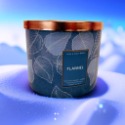 Bath Body & Works 4.5oz三蕊精油香氛蠟燭 經典限定設計款 美國官方進口 各款僅1組 蠟燭 居家香氛-規格圖9