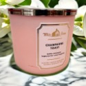 Bath Body & Works 4.5oz三蕊精油香氛蠟燭 經典限定設計款 美國官方進口 各款僅1組 蠟燭 居家香氛-規格圖9