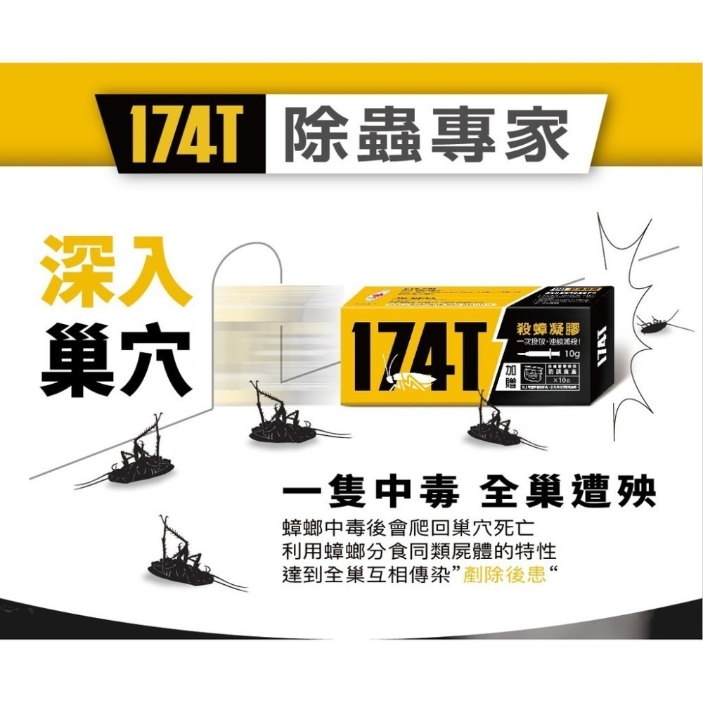 【實體地面現貨 附發票】174T 殺蟑除蟻凝膠20克 防治螞蟻藥30克 連鎖滅蟻 除蟑 殺蟑 滅蟑 除蟻-細節圖3