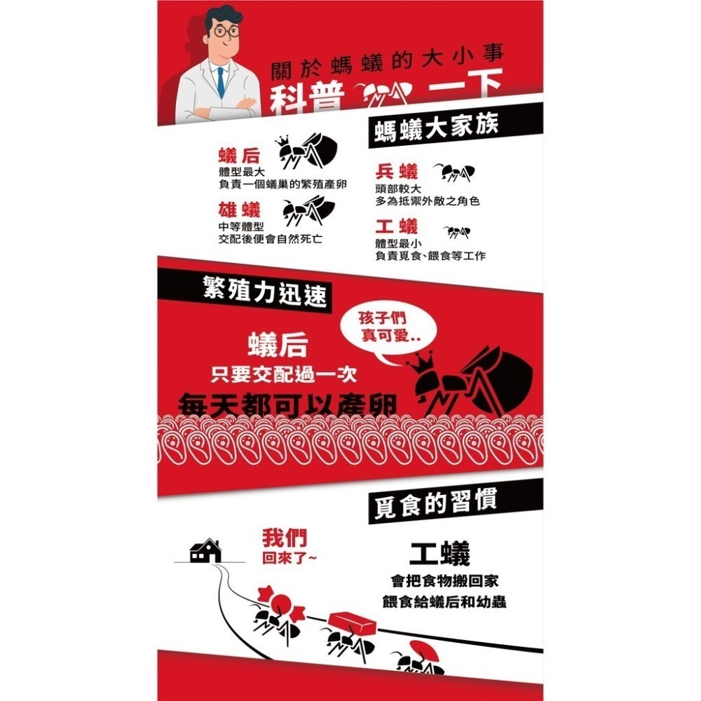 【實體地面現貨 附發票】174T 殺蟑除蟻凝膠20克 防治螞蟻藥30克 連鎖滅蟻 除蟑 殺蟑 滅蟑 除蟻-細節圖5