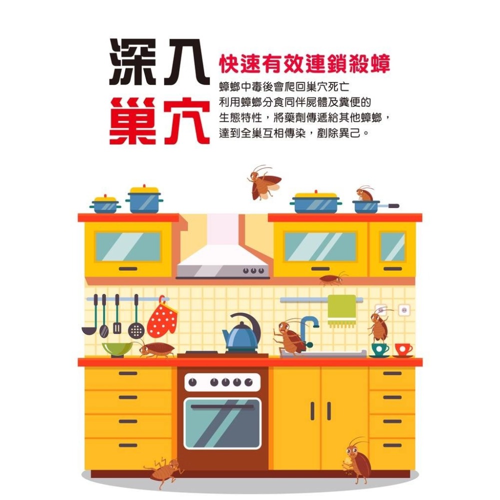 【實體店面現貨】奧除 殺蟑凝膠15g 強效蟑螂藥 蟑螂 害蟲 適合各種蟑螂 連鎖滅蟑-細節圖5