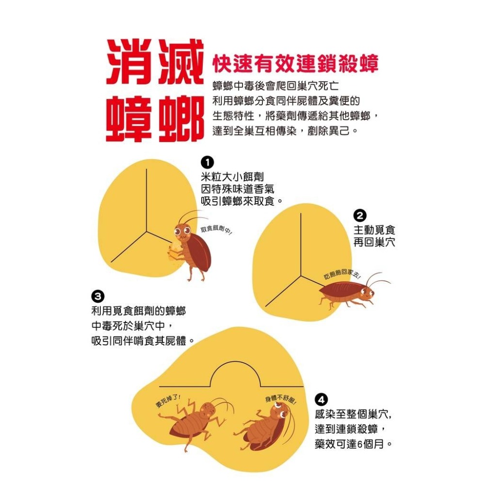 【實體店面現貨】奧除 殺蟑凝膠15g 強效蟑螂藥 蟑螂 害蟲 適合各種蟑螂 連鎖滅蟑-細節圖6
