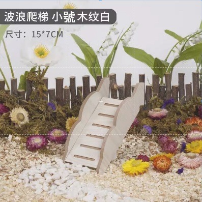 【實體店面現貨】倉鼠造景躲避屋 倉鼠偷窺屋 躲避屋 倉鼠小窩 倉鼠躲避窩 倉鼠平台 小寵-細節圖4