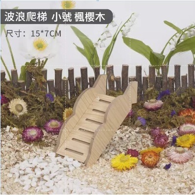 【實體店面現貨】倉鼠造景躲避屋 倉鼠偷窺屋 躲避屋 倉鼠小窩 倉鼠躲避窩 倉鼠平台 小寵-規格圖6