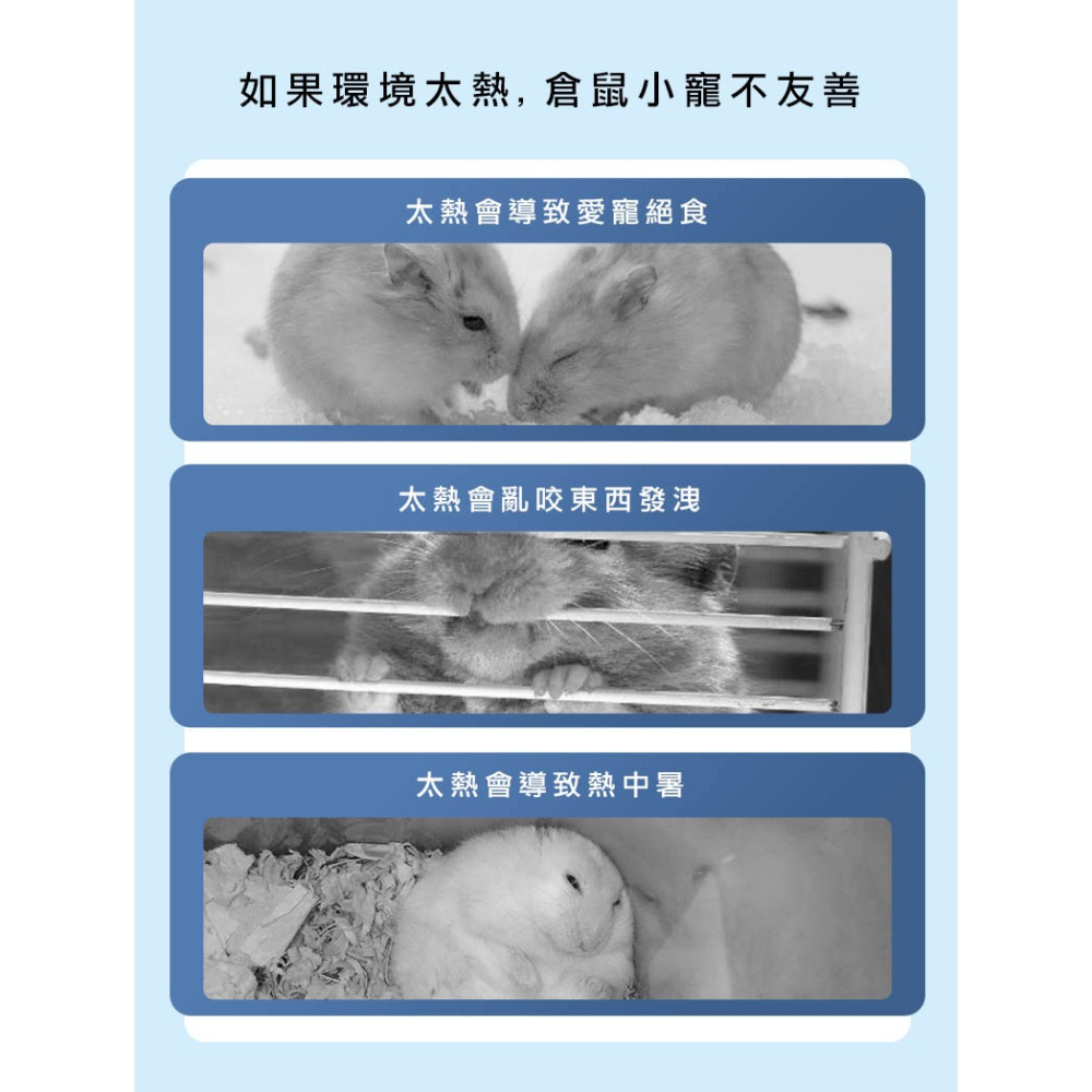 【實體店面現貨】倉鼠冰塊屋 倉鼠躲避窩 納涼屋 避暑躲避屋 小鼠凉感空調房 倉鼠冰屋 水立方冰屋 倉鼠冰屋-細節圖5