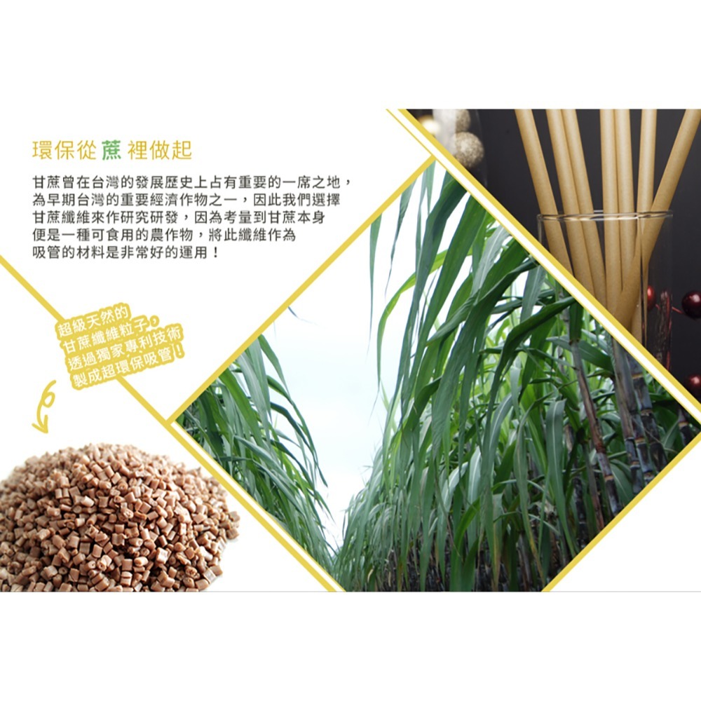 【實體店面現貨 附發票】蔗吸寶 甘蔗纖維 吸管 細款 粗款 珍奶 冰沙 6mm/8mm/12mm 環保吸管 可重複利用-細節圖3