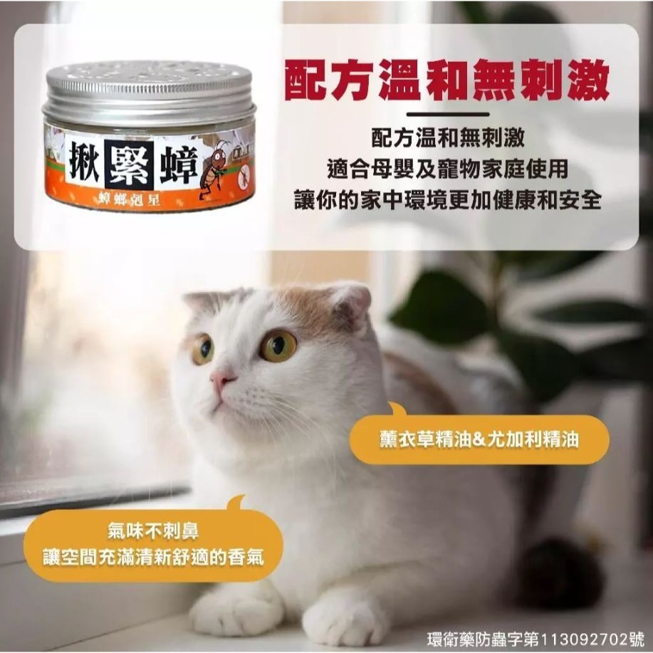 【實體店面現貨】揪緊蟑 蟑螂剋星 驅避率99%驅蟑膏天然驅蟑 蟑螂 驅蟑 滅蟑 殺蟑-細節圖6