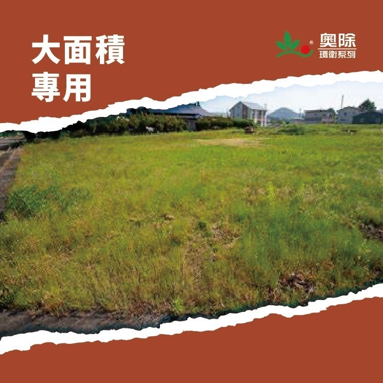 【實體店面現貨】奧除 除蟻特攻 350g大容量 強力消滅螞蟻 火蟻 顆粒狀 全巢滅絕 大面積專用-細節圖4