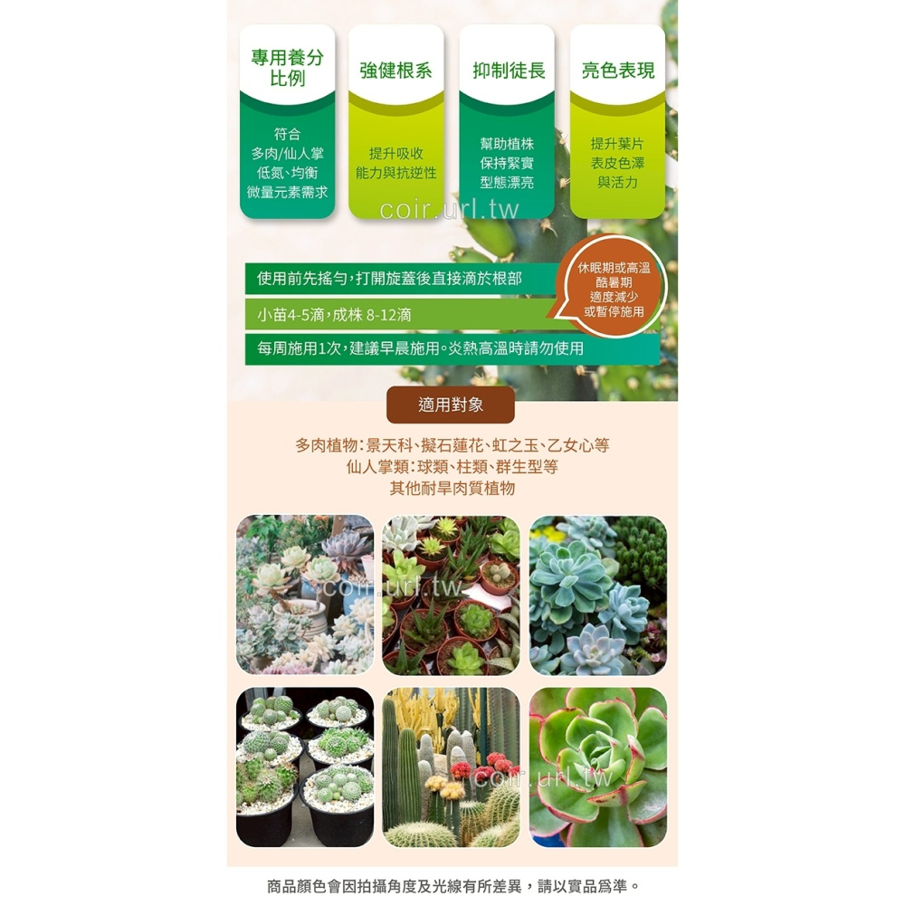 【實體店面現貨】Mr. Ganick 仙人掌多肉植物專用營養液（免稀釋） 根系強健 仙人掌 球莖 塊根-細節圖3