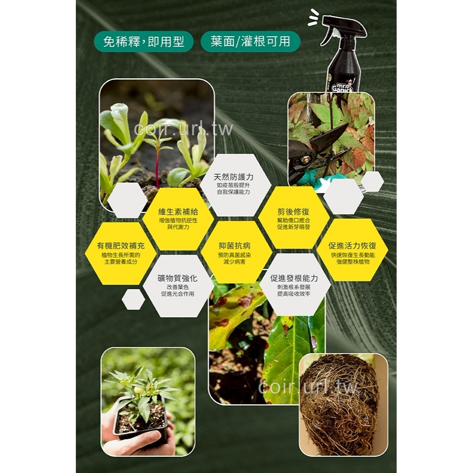 【實體店面現貨】Mr. Ganick 8合1頂級植物活力液 免稀釋噴霧瓶 天然 抑菌 剪後修復 促進發根 植物 園藝-細節圖3
