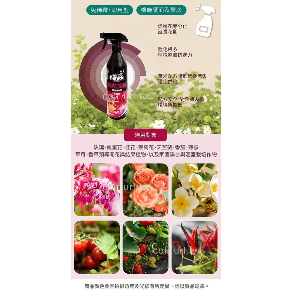Mr. Ganick 開花美美天然開花促進劑 免稀釋噴霧 促花促果 水生植物 環境友善 花芽分化 延長花期-細節圖3