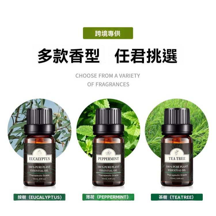 【瑞克倉庫】薰香精油 植物精油 水氧機 精油 香氛精油 油性精油 無水擴香儀精油 單方精油-細節圖5