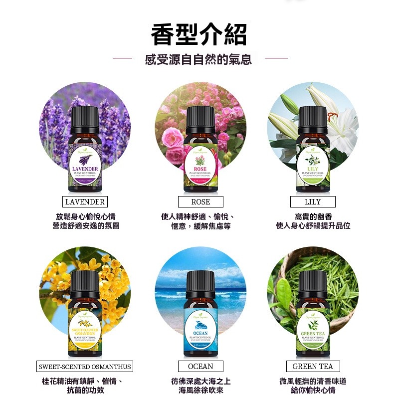 【瑞克倉庫】水溶性精油 薰香精油 植物精油 水氧機 精油 香氛精油 單方精油 植物萃取-細節圖6