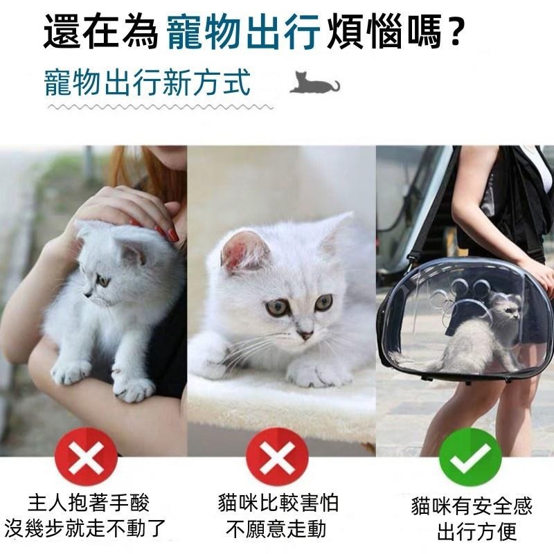 便攜透明寵物包🔥平價現貨🔥外出寵物箱 手提單肩斜跨寵物包 可折疊透氣貓狗包 貓咪包 狗狗包 寵物專用包-細節圖5