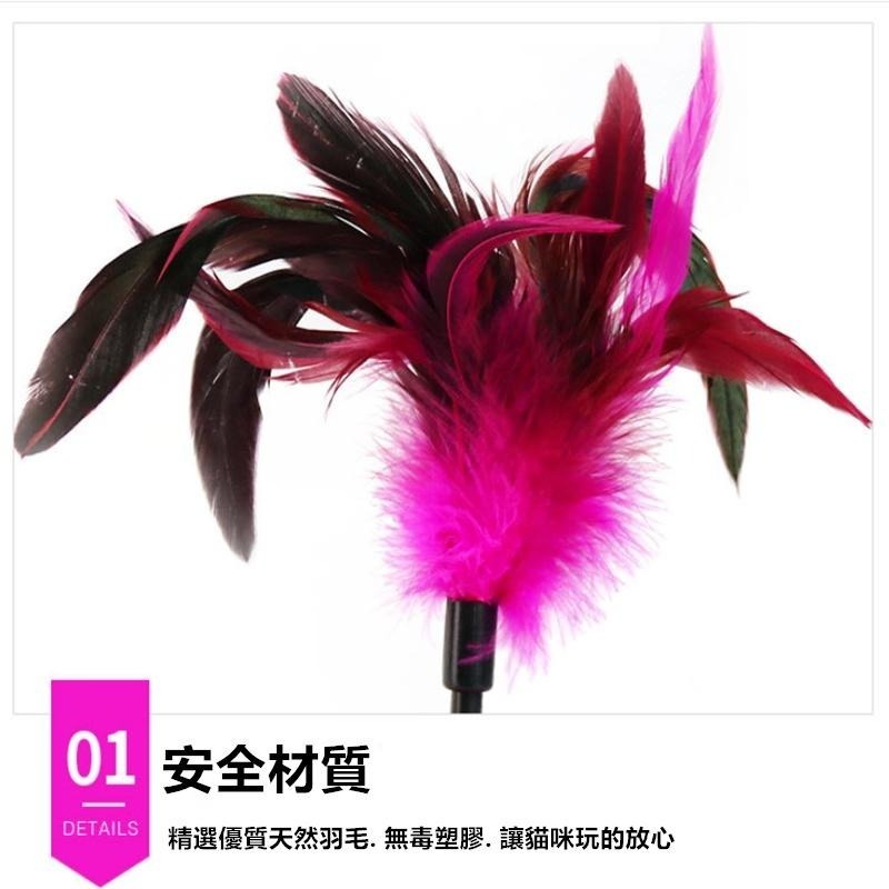 羽毛不倒翁球 🔥平價現貨🔥 彩色羽毛不倒翁 逗貓球 不倒翁 羽毛 貓不倒翁 逗貓 貓咪玩具 貓玩具 玩具 寵物玩具-細節圖6