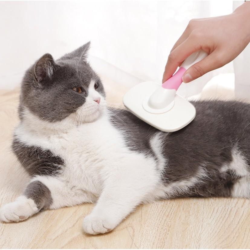 寵物旋轉針梳 🔥平價現貨🔥寵物梳子 旋轉針梳 寵物美容梳子 寵物用品 針梳 360旋轉梳頭 狗梳 貓梳 狗梳子-細節圖2