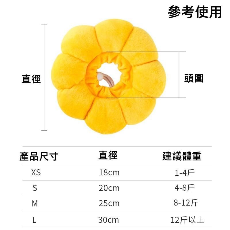 伊莉莎白圈🔥平價現貨🔥防咬防舔頭套 太陽花脖圈 貓咪頭套 防舔圈 羞恥圈 絕育頭套 寵物頭套 貓狗通用-細節圖8